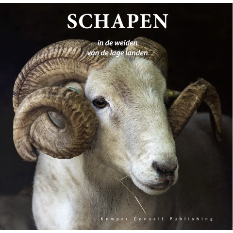 Schapen in de weiden van de lage landen (Hardback)