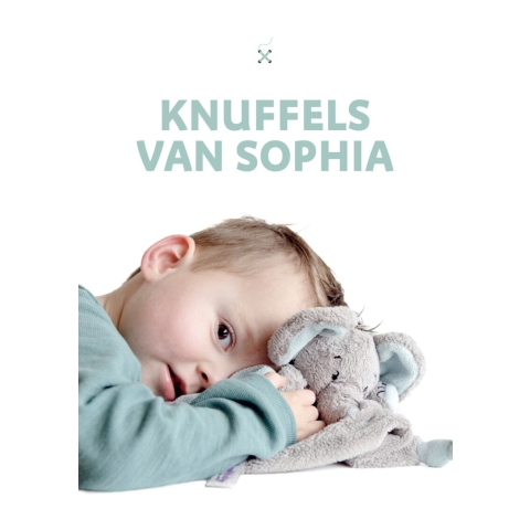 Knuffels van Sophia (Hardback)