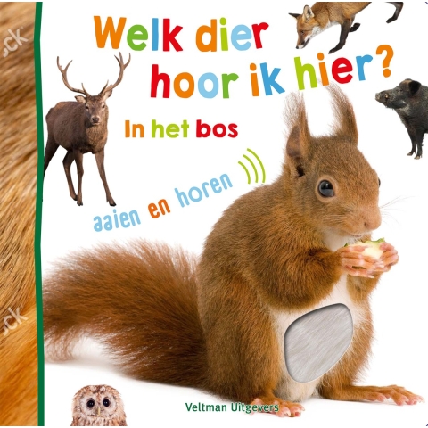 Welk dier hoor ik hier? - in het bos (Hardback)