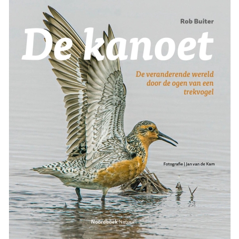 De kanoet (Paperback)