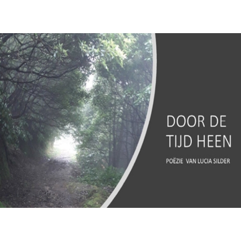 Door de tijd heen (Paperback)