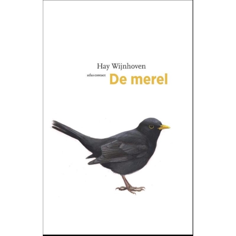 De merel (Paperback)