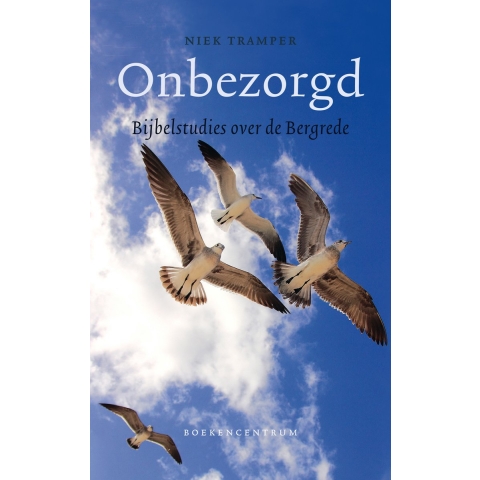 Onbezorgd (Paperback)