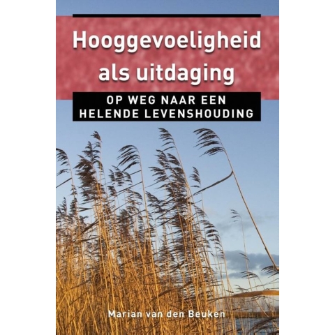 Hooggevoeligheid als uitdaging (Paperback)