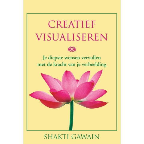 Creatief visualiseren (Paperback)