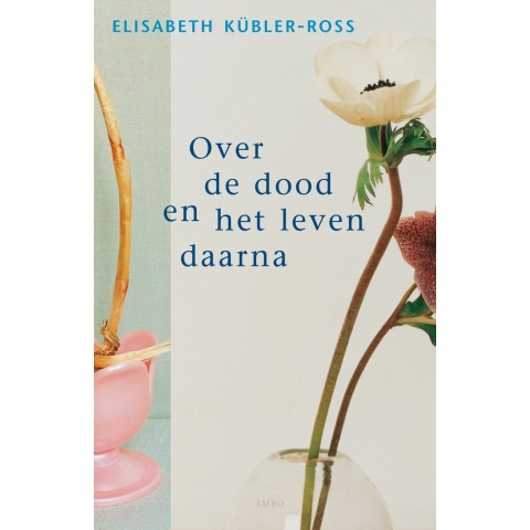 Over de dood en het leven daarna (Paperback)