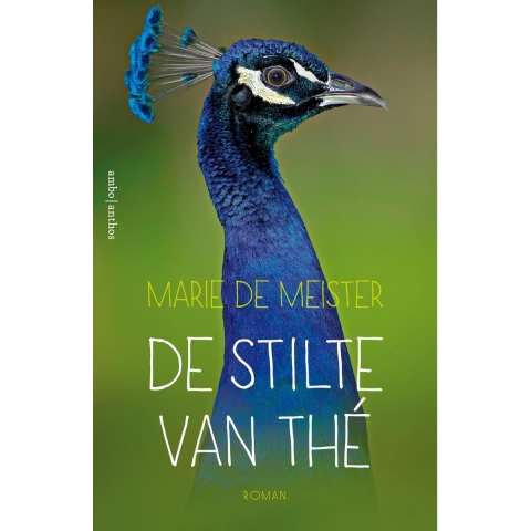 De stilte van Thé (Paperback)