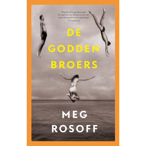 De Godden broers (Hardback)