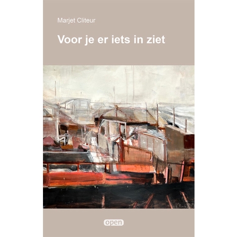 Voor je er iets in ziet (Paperback)
