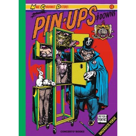 Pin-Ups & Downs (Paperback)