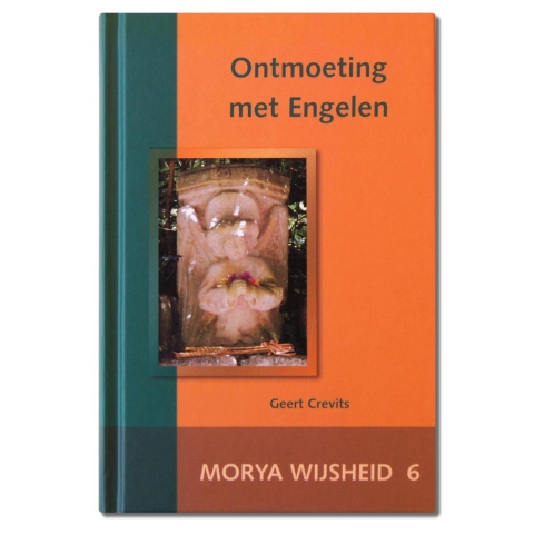 Ontmoeting met engelen (Hardback)