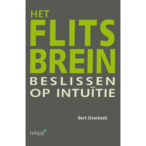 Het flitsbrein (Paperback)