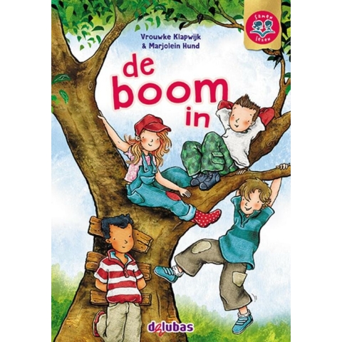 de boom in (Hardback)