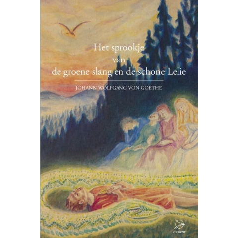 Het sprookje van de groene slang en de schone lelie (Hardback)