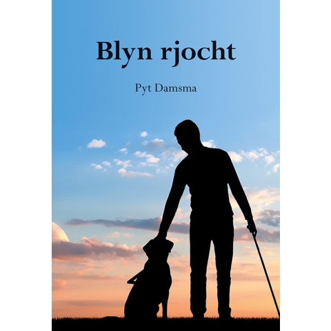 Blyn rjocht (Paperback)