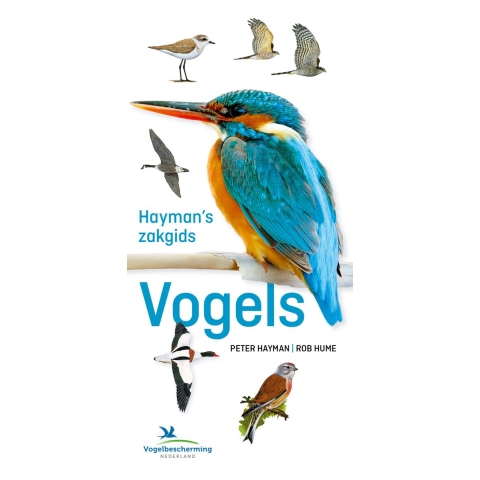 Hayman's zakgids Vogels (Hardback)