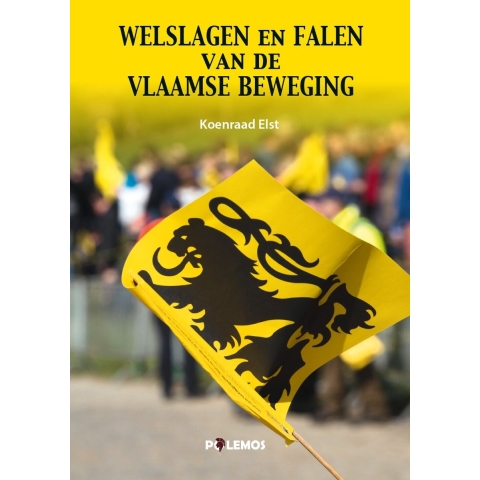 Welslagen en Falen van de Vlaamse Beweging (Paperback)