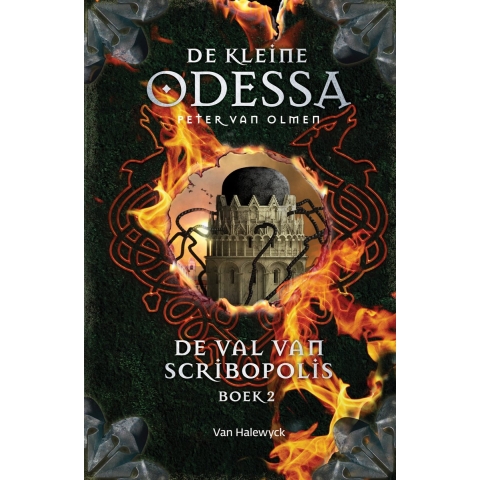 De val van Scribopolis (Hardback)