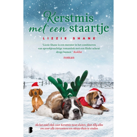 Kerstmis met een staartje (Paperback)