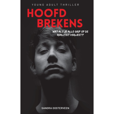 Hoofdbrekens (Paperback)