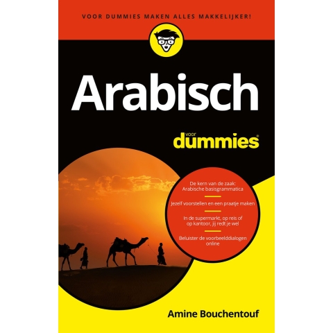 Arabisch voor Dummies (Paperback)