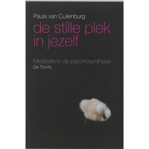 De stille plek in jezelf (Paperback)