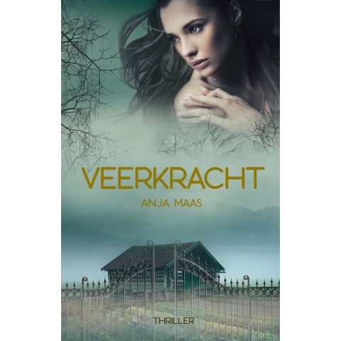 Veerkracht (Paperback)