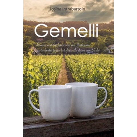 Gemelli (Paperback)