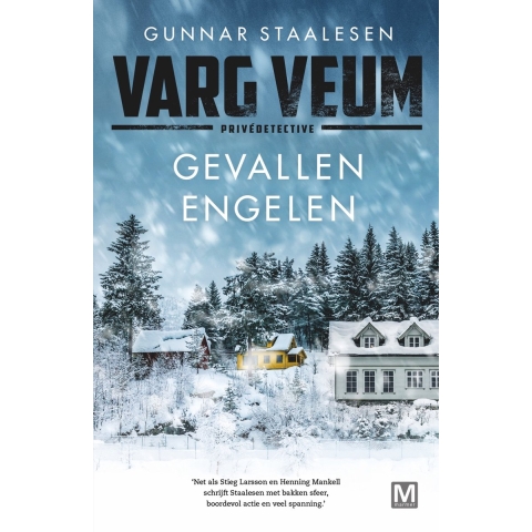Gevallen engelen (Paperback)