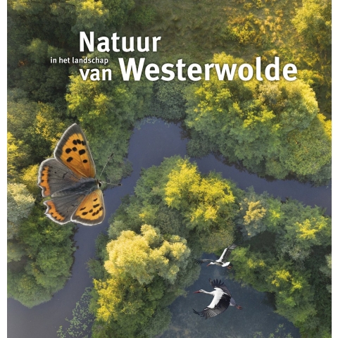 Natuur in het landschap van Westerwolde (Hardback)