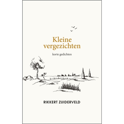 Kleine vergezichten (Hardback)