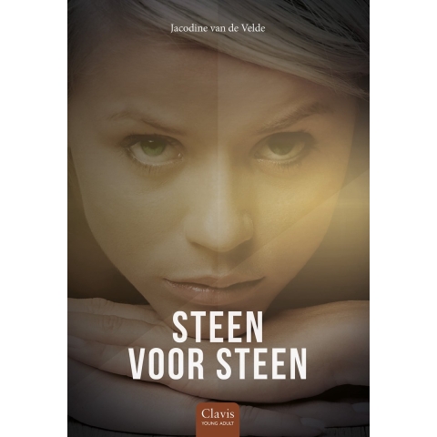 Steen voor steen (Hardback)