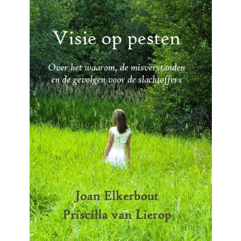 Visie op pesten (Paperback)