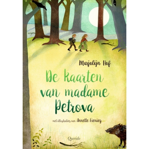 De kaarten van madame Petrova (Hardback)