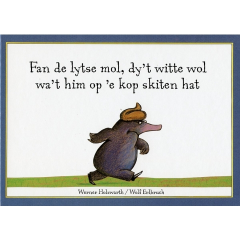 Fan de lytse mol dy't witte wol (Paperback)