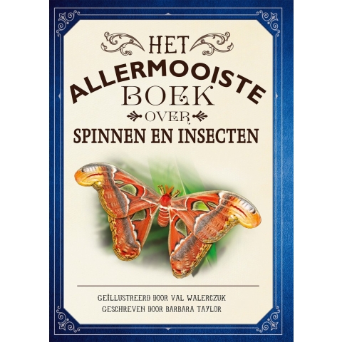 Het allermooiste boek over spinnen en insecten (Hardback)