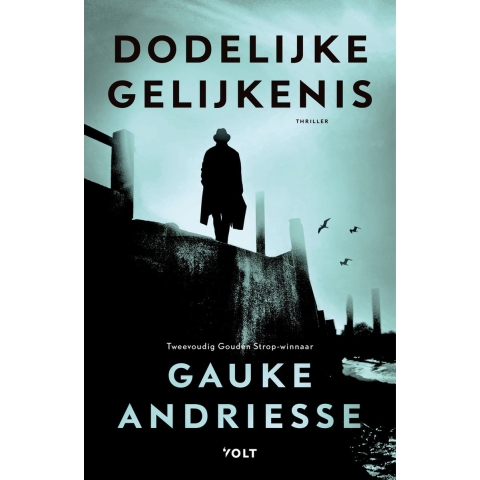 Dodelijke gelijkenis (Paperback)