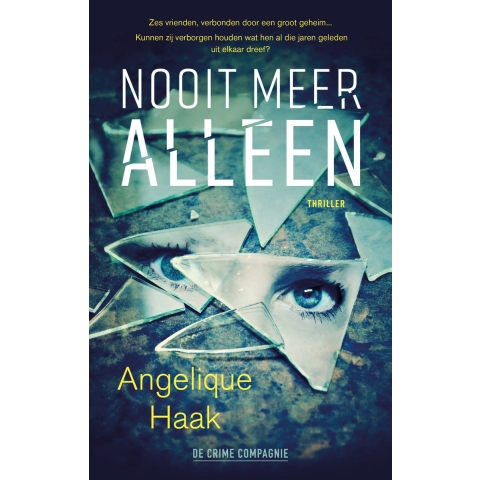 Nooit meer alleen (Paperback)