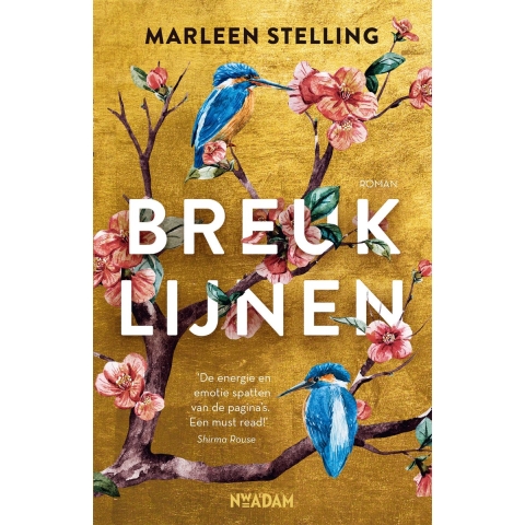 Breuklijnen (Paperback)