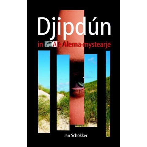 Djipdún (Paperback)