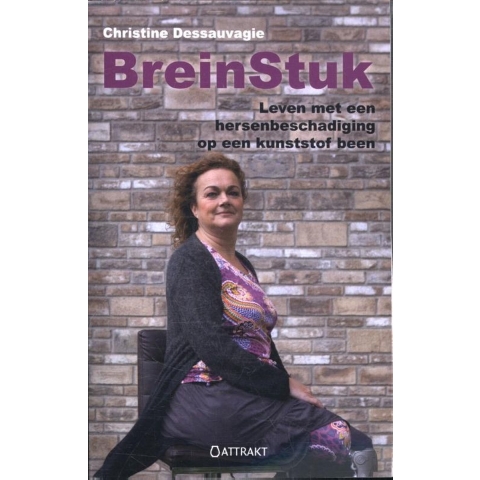 BreinStuk (Paperback)