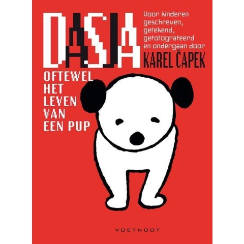 Dasja (Paperback)