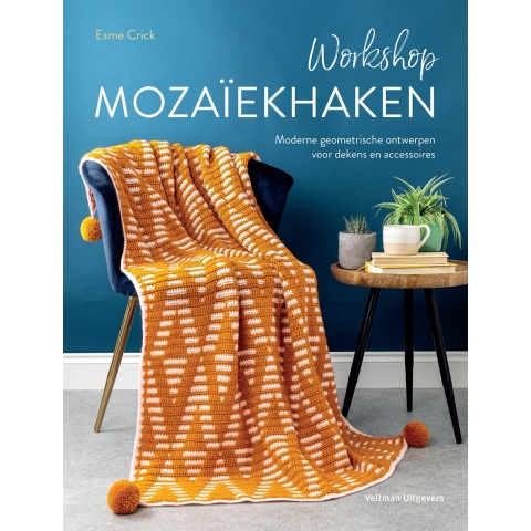 Workshop mozaïekhaken (Paperback)