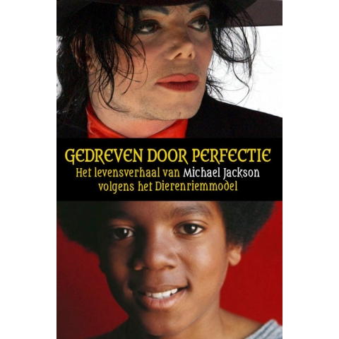 Gedreven door perfectie (Paperback)