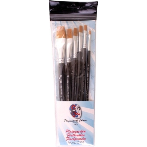 Carnaval platte schmink penselen - 6x - synthetisch - diverse formaten - professioneel -