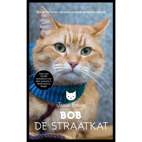 Bob de straatkat (Paperback)