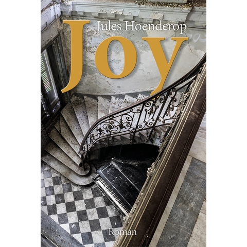 Joy (Paperback)