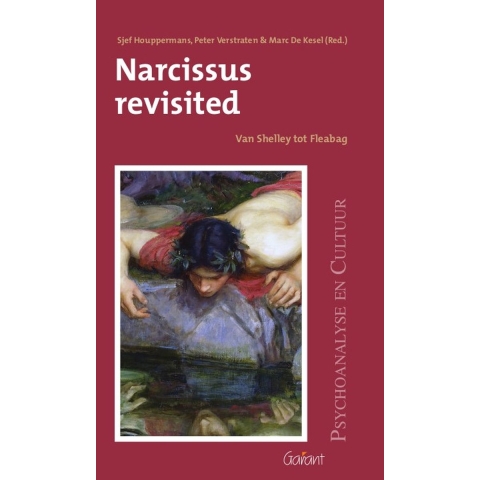 Narcissus revisited (Paperback)