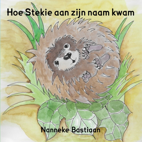Hoe Stekie aan zijn naam kwam (Paperback)