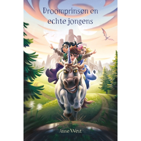 Droomprinsen en echte jongens (Paperback)